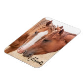 Paarden die in een weiland snuiven magneet (Linkerzijde)