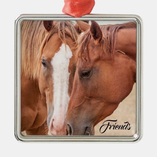 Paarden die in een weiland snuiven metalen ornament (Voorkant)