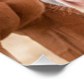 Paarden die in een weiland snuiven perfect poster (Hoek)