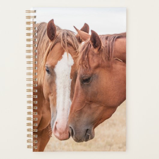 Paarden die in een weiland snuiven planner (Voorkant)