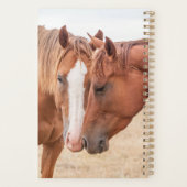 Paarden die in een weiland snuiven planner (Achterkant)
