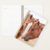 Paarden die in een weiland snuiven planner (Display)
