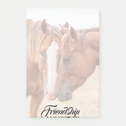 Paarden die in een weiland snuiven post-it® notes (Voorkant)