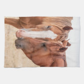 Paarden die in een weiland snuiven theedoek (Horizontaal)