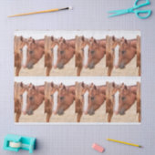 Paarden die in een weiland snuiven tissuepapier (Craft)