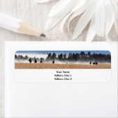 Paarden die in het Etiket van het Adres van de Ter (Insitu)