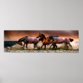 Paarden die in het Surf lopen Poster (Voorkant)