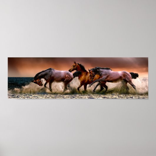 Paarden die in het Surf lopen Poster (Voorkant)