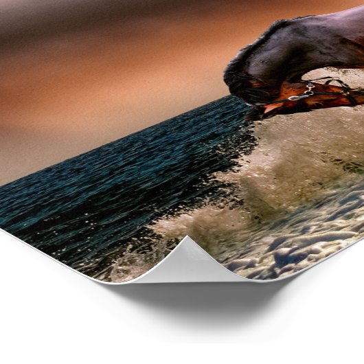 Paarden die in het Surf lopen Poster (Hoek)