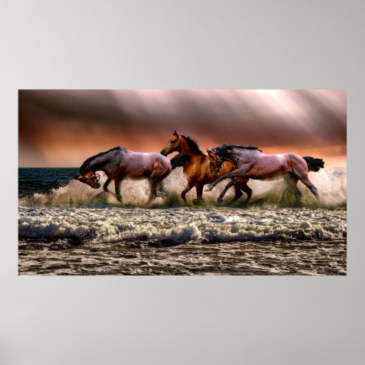 Paarden die in het Surf lopen Poster (Voorkant)
