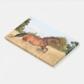 Paarden die in het veld lopen post-it® notes (Schuin)