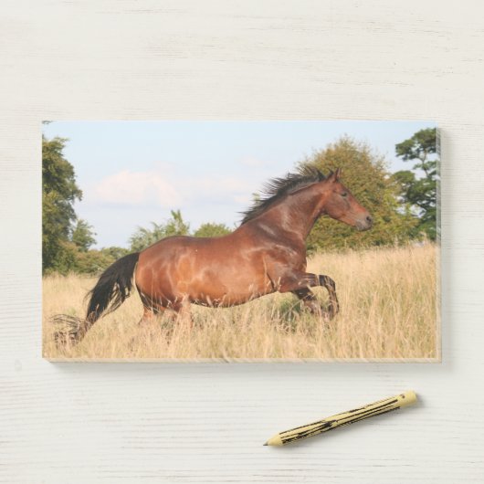 Paarden die in het veld lopen post-it® notes (Op bureau)