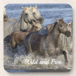 Paarden die in het water galmen bier onderzetter