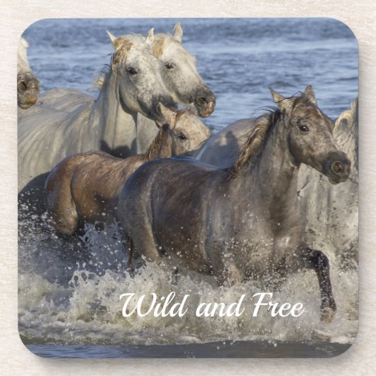 Paarden die in het water galmen bier onderzetter (Voorkant)