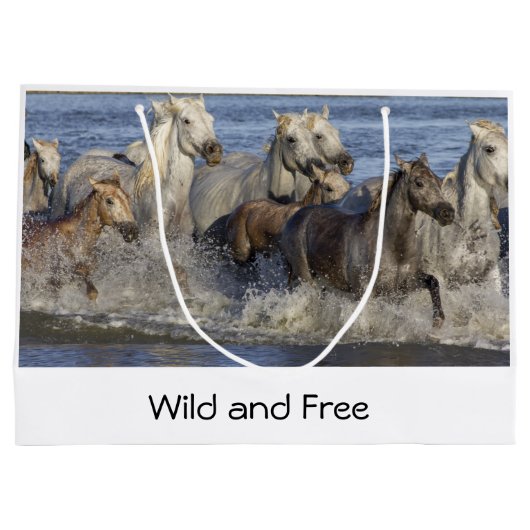 Paarden die in het water galmen groot cadeauzakje (Achterkant)