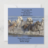 Paarden die in het water galmen kaart (Achterkant)