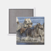 Paarden die in het water galmen magneet (Voorkant / Achterkant)