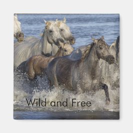 Paarden die in het water galmen magneet