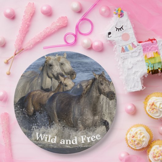 Paarden die in het water galmen papieren bordje (Feest)