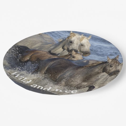 Paarden die in het water galmen papieren bordje (Gekanteld)