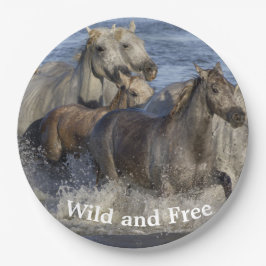 Paarden die in het water galmen papieren bordje