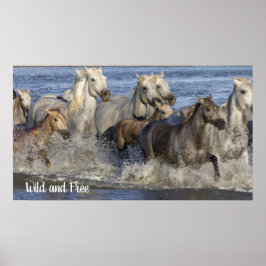 Paarden die in het water galmen poster