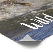 Paarden die in het water galmen poster (Hoek)