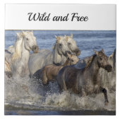 Paarden die in het water galmen tegeltje (Voorkant)