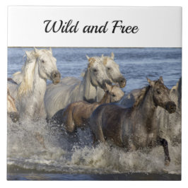 Paarden die in het water galmen tegeltje