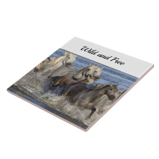 Paarden die in het water galmen tegeltje (Zijkant)