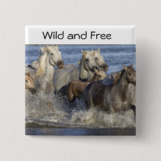 Paarden die in het water galmen vierkante button 5,1 cm (Voorkant)