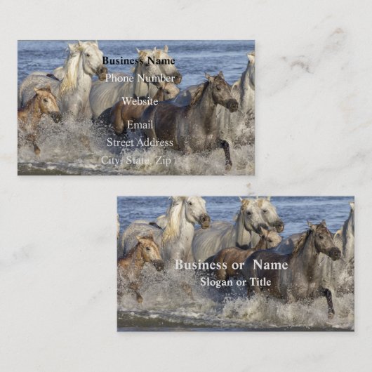Paarden die in het water galmen visitekaartje (Voorkant / Achterkant)