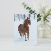 Paarden die in sneeuw lopen briefkaart (Staand voorkant)