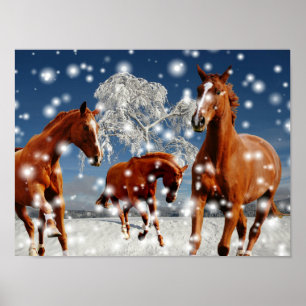 Paarden die in sneeuw spelen poster