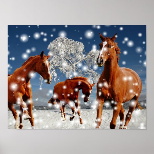 Paarden die in sneeuw spelen poster (Voorkant)