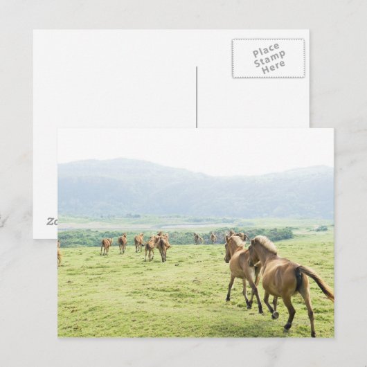 Paarden die lopen briefkaart (Voorkant / Achterkant)