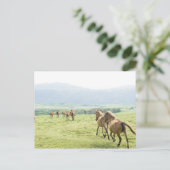 Paarden die lopen briefkaart (Staand voorkant)