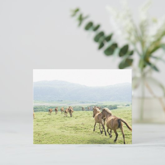 Paarden die lopen briefkaart (Staand voorkant)