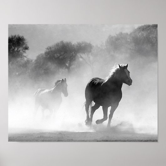 Paarden die lopen in de mist zwart-wit poster (Voorkant)