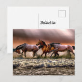 Paarden die lopen in Ocean Waves die schilderen Briefkaart (Voorkant / Achterkant)
