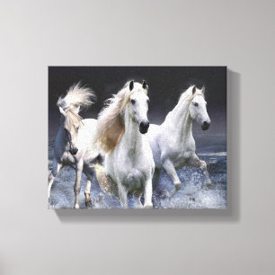 Paarden die lopen met kussens canvas afdruk