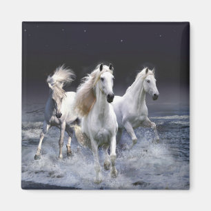 Paarden die lopen met kussens magneet