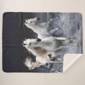 Paarden die lopen met kussens sherpa deken (Voorkant (horizontaal))