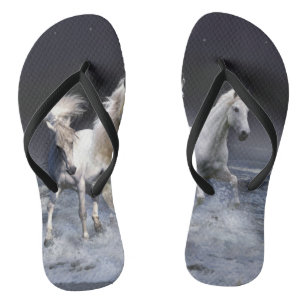 Paarden die lopen met kussens teenslippers