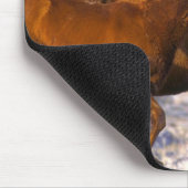 Paarden die lopen muismat (Hoek)