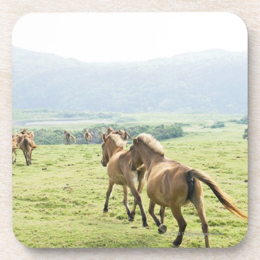 Paarden die lopen onderzetter (Voorkant)