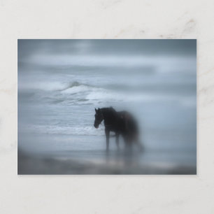 Paarden die lopen op het strand Newport Rhode Isla Briefkaart