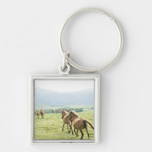 Paarden die lopen sleutelhanger
