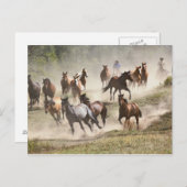 Paarden die lopen tijdens de rondleiding in Montan Briefkaart (Voorkant / Achterkant)