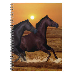 Paarden die op de oceaanzonsondergang lopen notitieboek